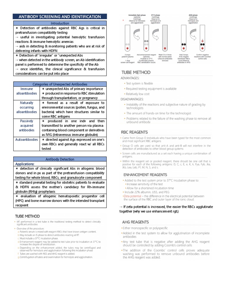 Antibody Screening and Identification PDF PDF Antibody Clinical