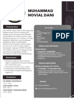 CV M NOVIAL DANI