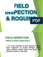 Field Inspection & Roguing