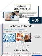 Capitulo 1 - Manual de Urología Razonada, Rubén Bengio