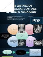 Capitulo 3 - Manual de Urologia Razonada, Ruben Bengio