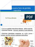 Aula 07 - Anamnese e Exame Fã - Sico Da Genitã - Lia Masculina PDF