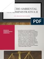 Derecho Ambiental Vía Administrativa Ii