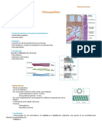 Sebenta Biocel I - Cont.