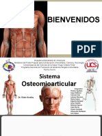 Sistema Osteomioarticular 2