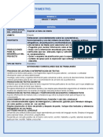 4° GRADO (1° TRIMESTRE)