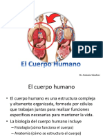 El Cuerpo Humano 1 PDF