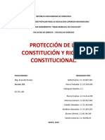 Protección Constitucional Examen