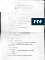 Processo Socio Historico Brasileiro (Prof. Meire) 004