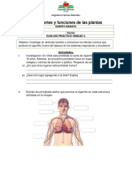 002 - 5°b - Ciencias - Práctico - Unidad 3 - Tabaquismo y Sus Consecuencias