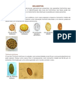 Resumo Sobre Técnicas Laboratoriais em Parasitologia