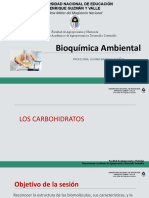 S4s1 Carbohidratos