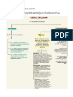 Biologia Informe