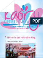Seminario Microblading 2019 PDF