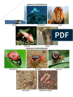 animales vertebrados e invertebrados imgs.docx