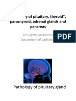 Pituitary, Thyroid Endocrine 2023