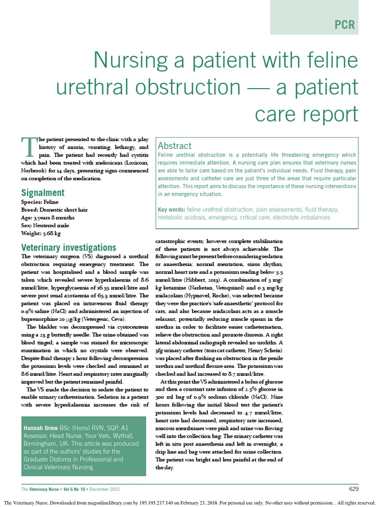 Picture of OrmeH (2015) Nursing A Patient With Feline Urethral Obstruction PDF ...