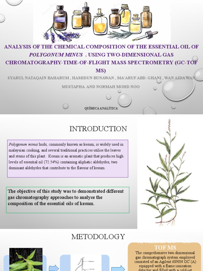 Comprehensive Analysis of the Chemical Composition of Kesum (Polygonum
