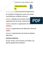 clase 1 anato pdf-convertido-editado