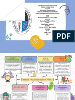 Organizador Grafico Modelos y Paradigmas en La Salud Pública