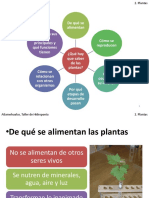 Presentación Hidroponia - Plantas