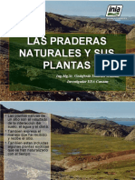 Cap I. Los Pastizales y Sus Plantas