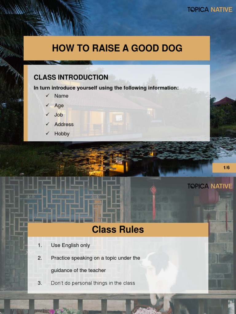 May 4 SC PDF Dogs Behavior Modification