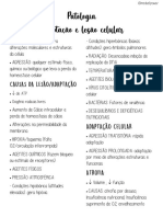 Adaptação e Lesão Celular PDF