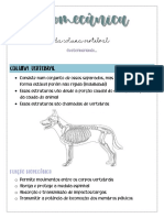 Biomecânica Da Coluna Vertebral