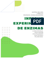 Informe Enzimas PDF