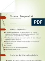 Anatomia Del Sistema Respiratorio Pinos 2016 PDF
