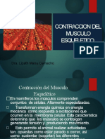 Contracción Del Músculo Esquelético