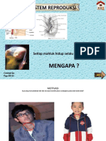 Sistem Reproduksi Manusia