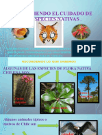 CONSTRUYAMOS MASCARAS DE ANIMALES Y PLANTAS CHILENAS.pptx