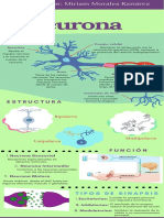 Infografia de La Neurona