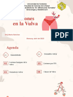 Lesiones de Vulva