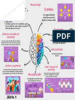 Bases Fisiológicas Del Aprendizajeneuropsicología