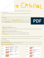 Tejido Epitelial PDF