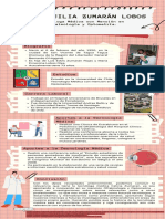 InfografiÌ A Cecilia Zumaran PDF