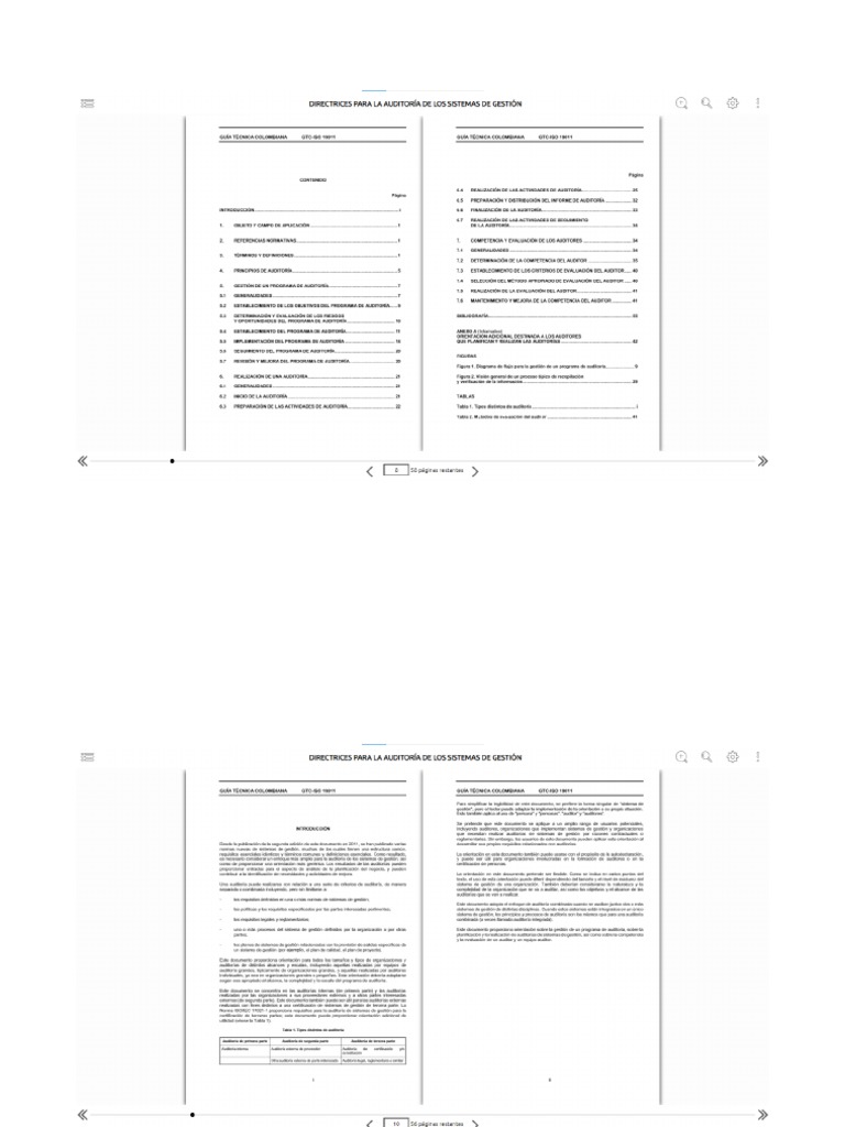 ISO 19011 DOWNLOAD visual data 4
