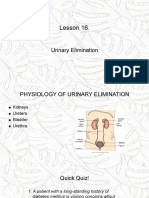 Lesson 16 Urinary Eliminination