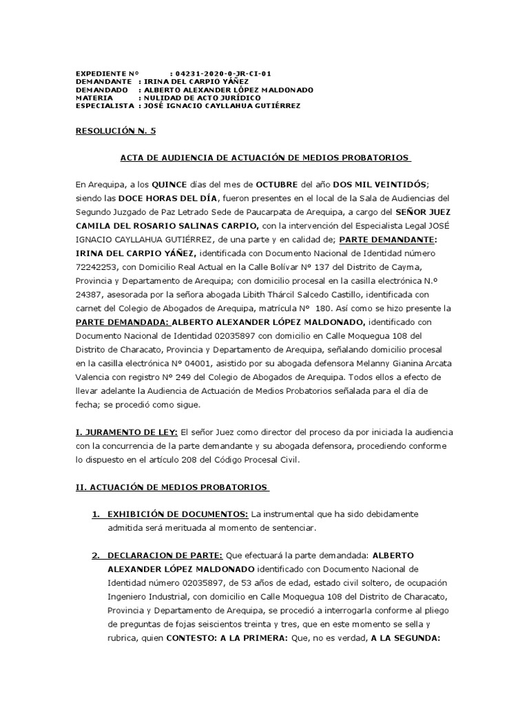 Acta Audiencia de Pruebas | PDF | Justicia | Crimen y violencia