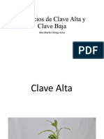 Ejercicios Clave Alta y Clave Baja - Alex Martín Ortega Arica