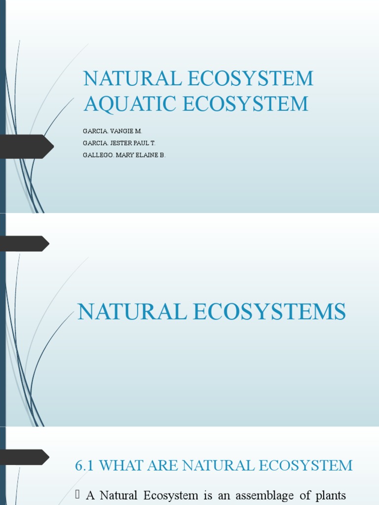 Natural Ecosystem Aquatic Ecosystem | PDF | Forests | Grassland
