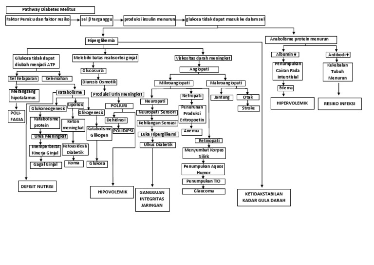 Pathway Diabetes Melitus | PDF