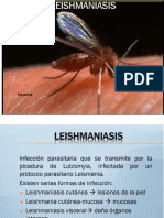 Diapos de Leishmaniasis