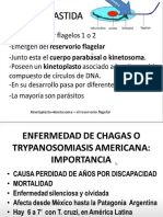 Diapositivas de Chagas