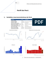 Perfil Peru PDF