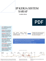 Prinsip Kerja Sistem Saraf