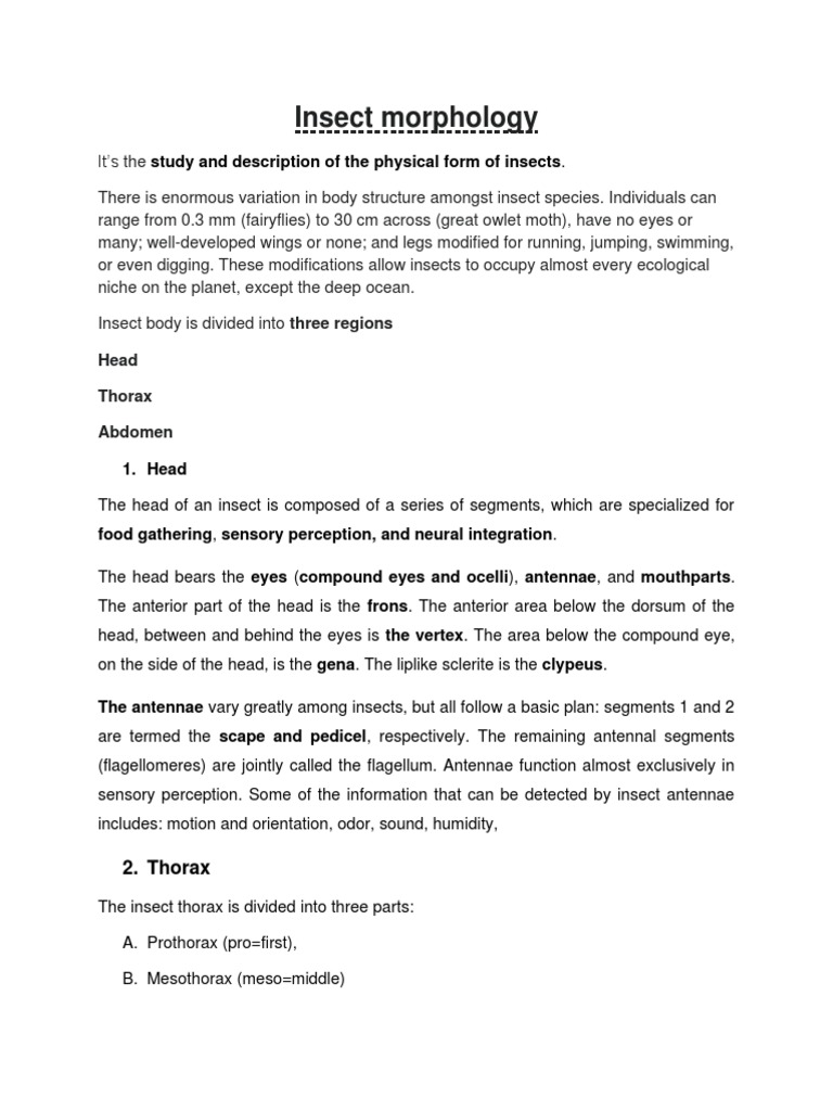 Lecture 2. Insect Morphology PDF